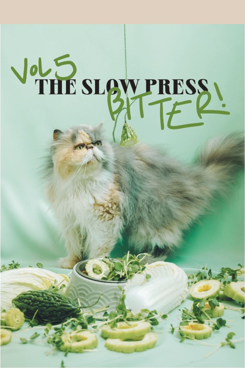 The Slow Press Vol. 5 cover