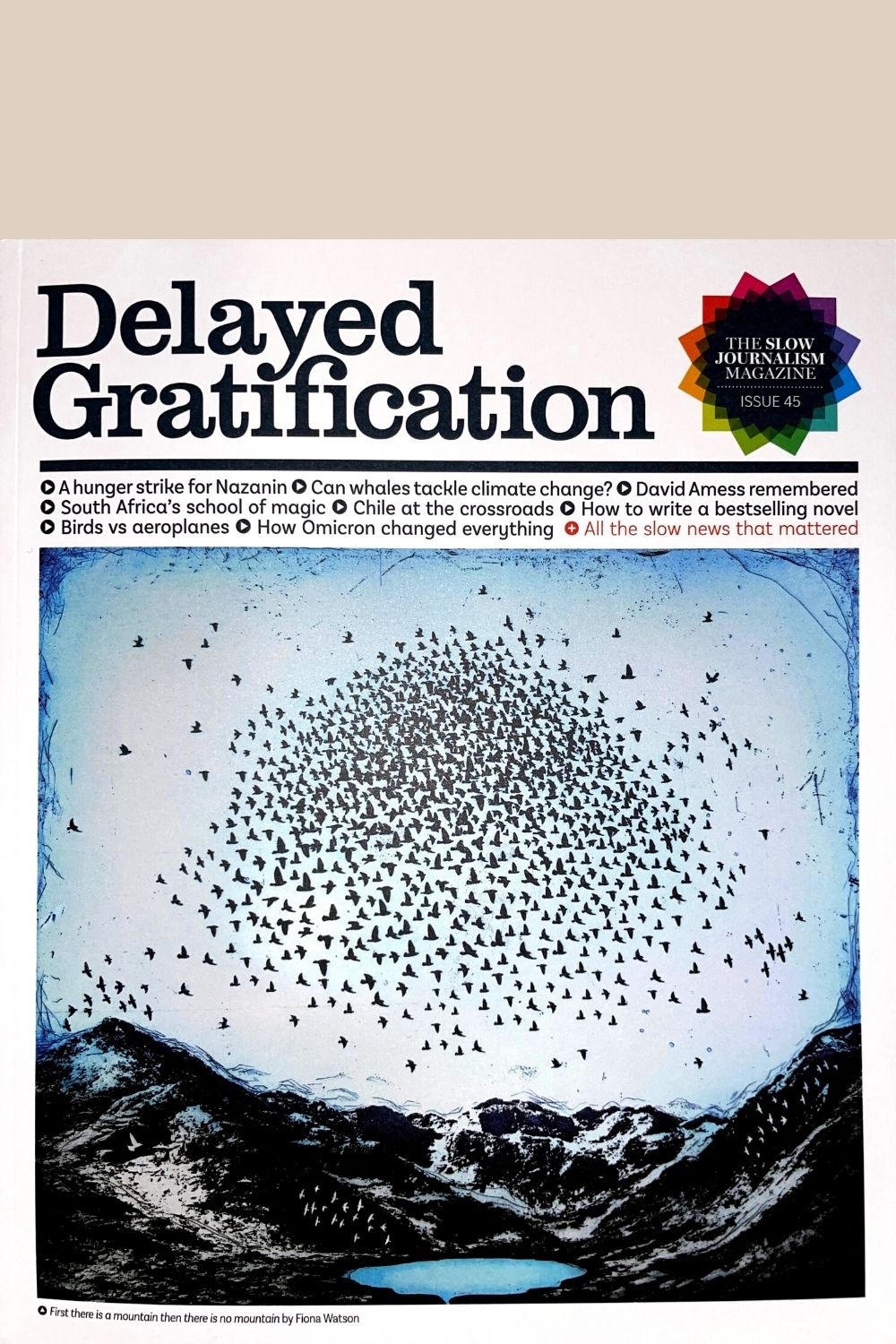 Delayed Gratification #45 Slow news magazine
