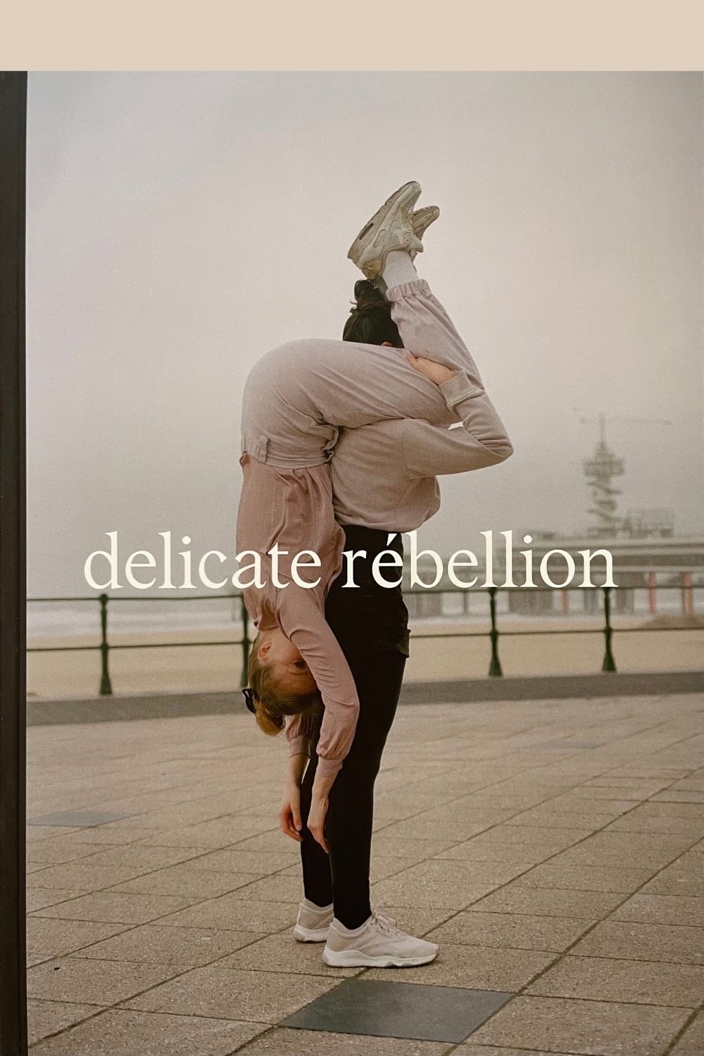 Front cover of Delicate Rebellion magazine Issue 2 on the Pics & Ink shop