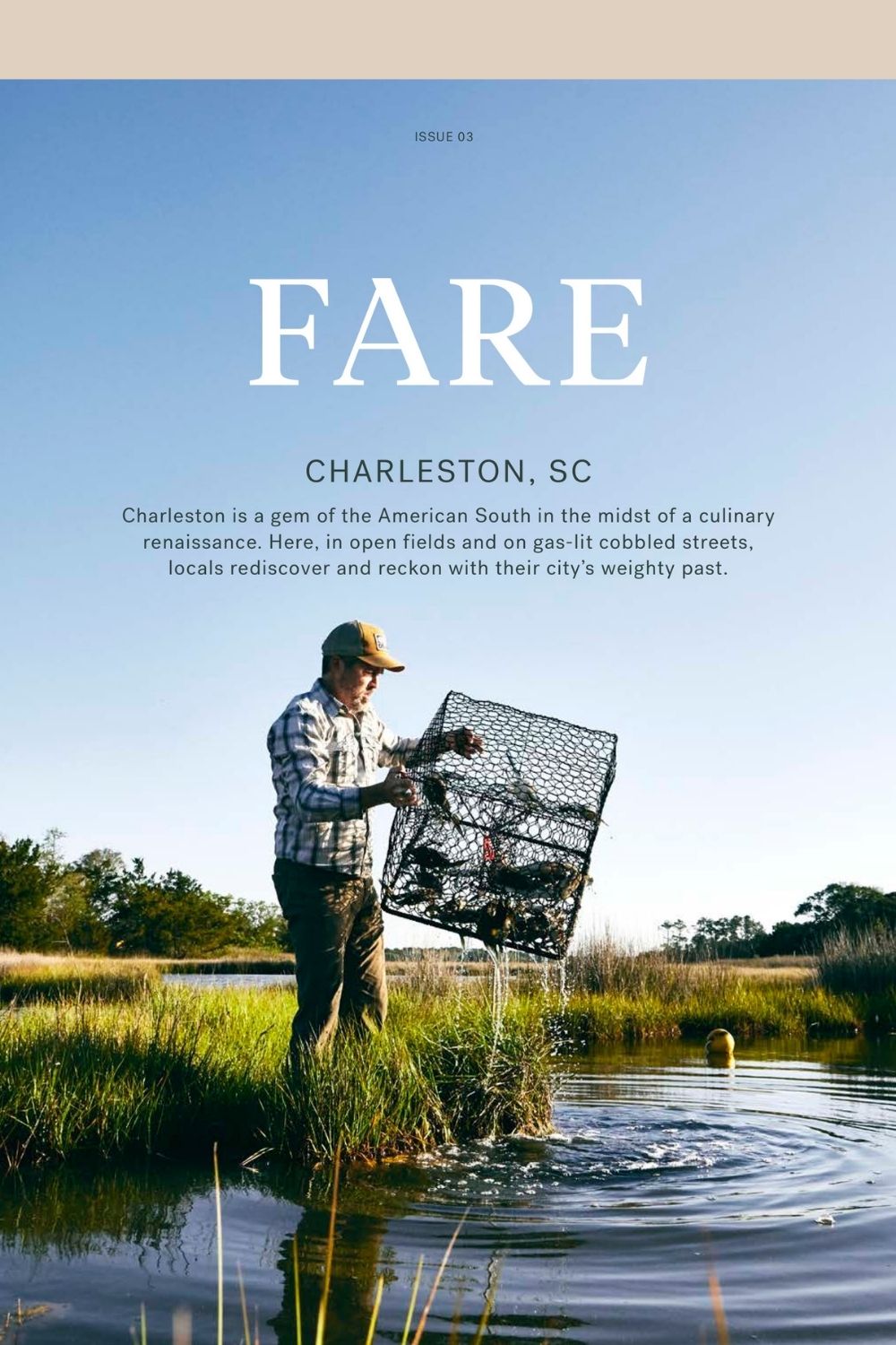 Front cover of Fare mag Issue 3 on the Pics & Ink mag shelf