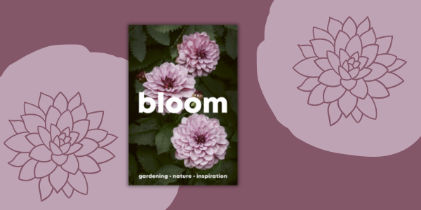 MAG OF THE MONTH - BLOOM
