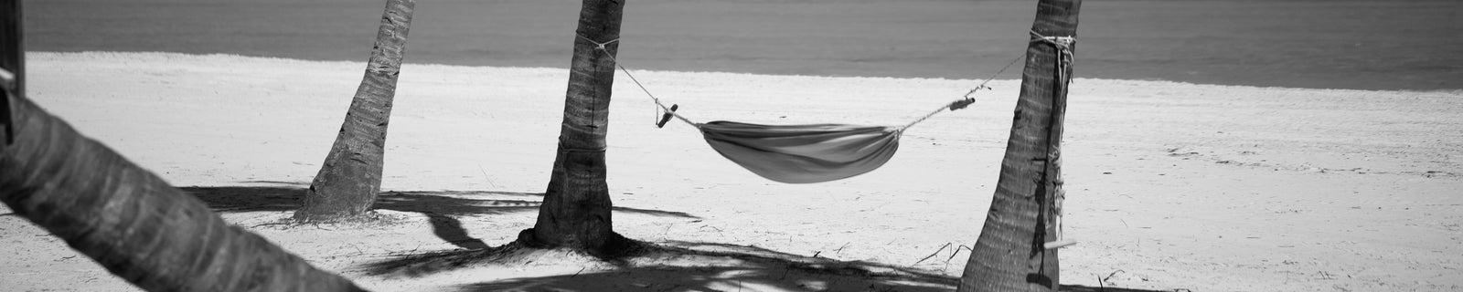 Life and Leisure