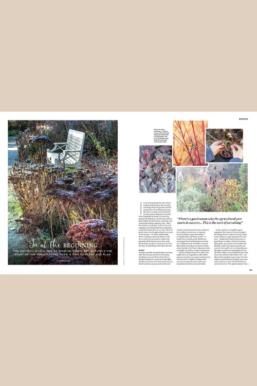 PRE SALE The Simple Things Issue 161 November