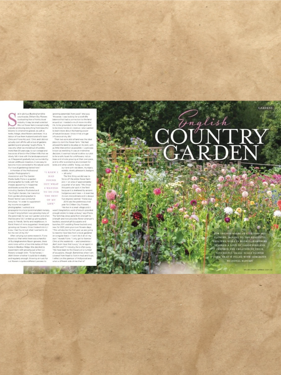 Wildflower Issue 7