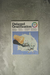 Delayed Gratification 63 Cover