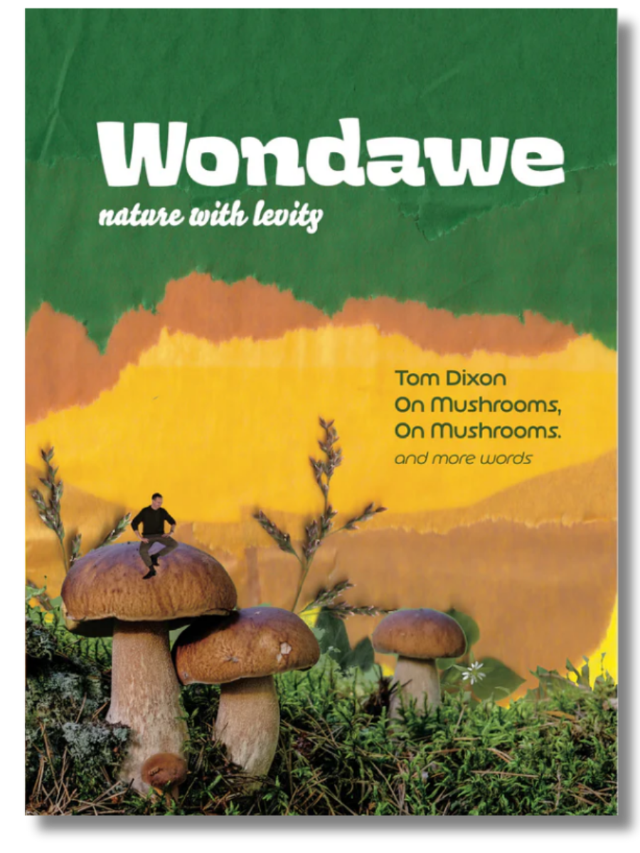 Wondawe Issue 1