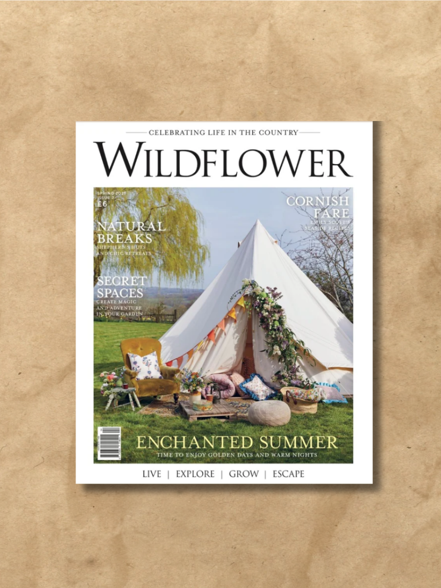 Wildflower Issue 7