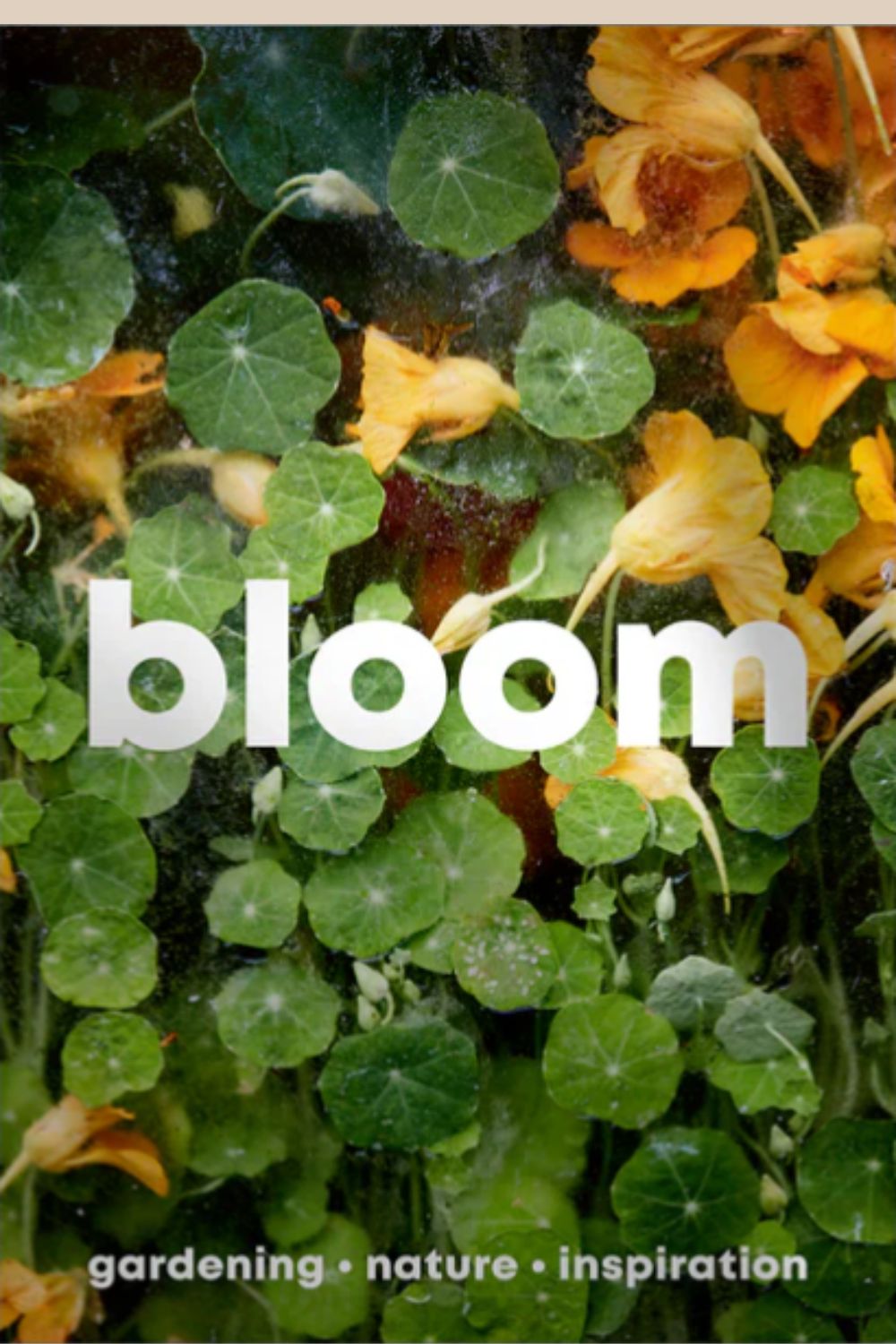 Bloom Magazine Issue 15
