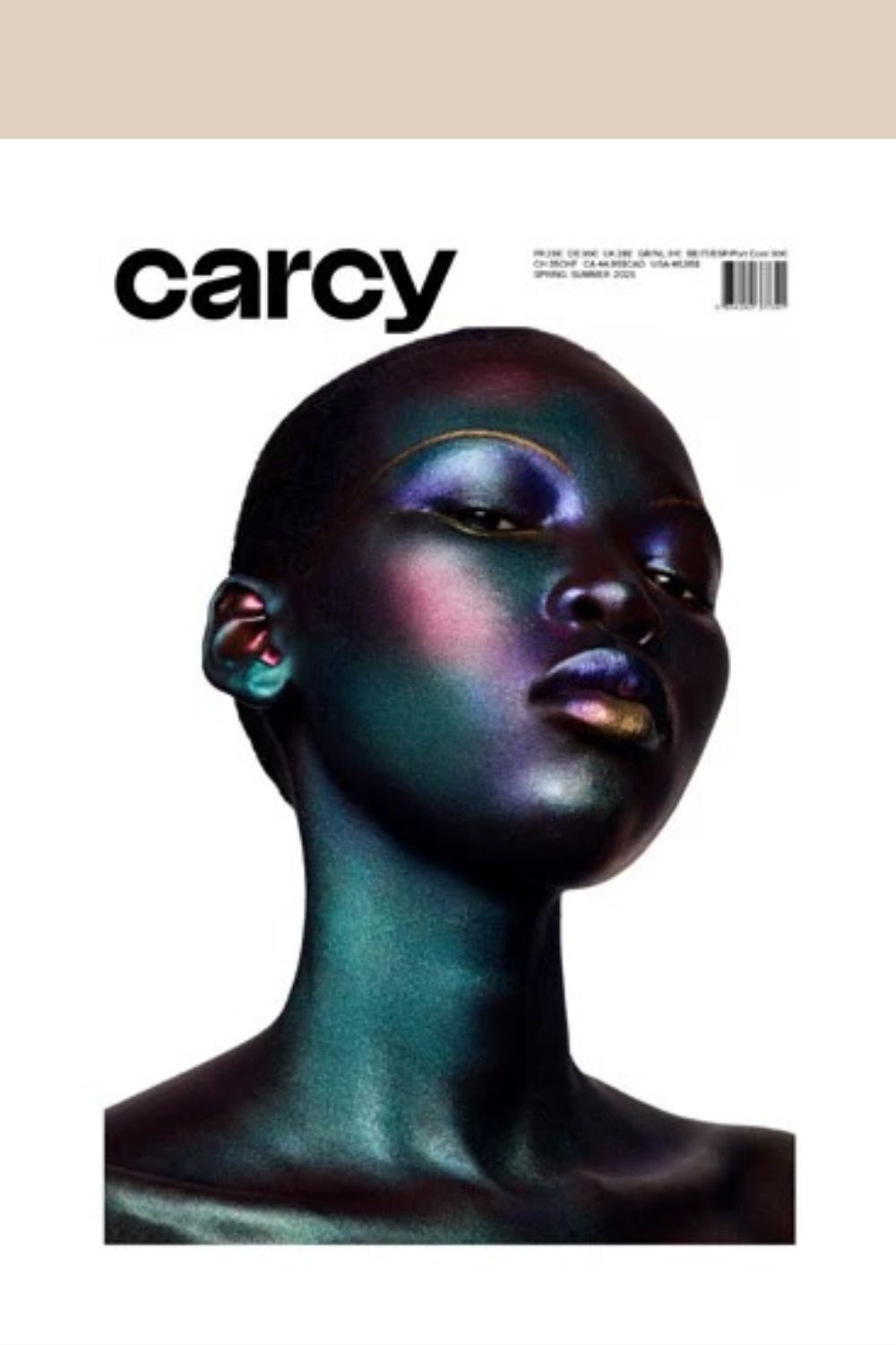 Carcy 13 Cover