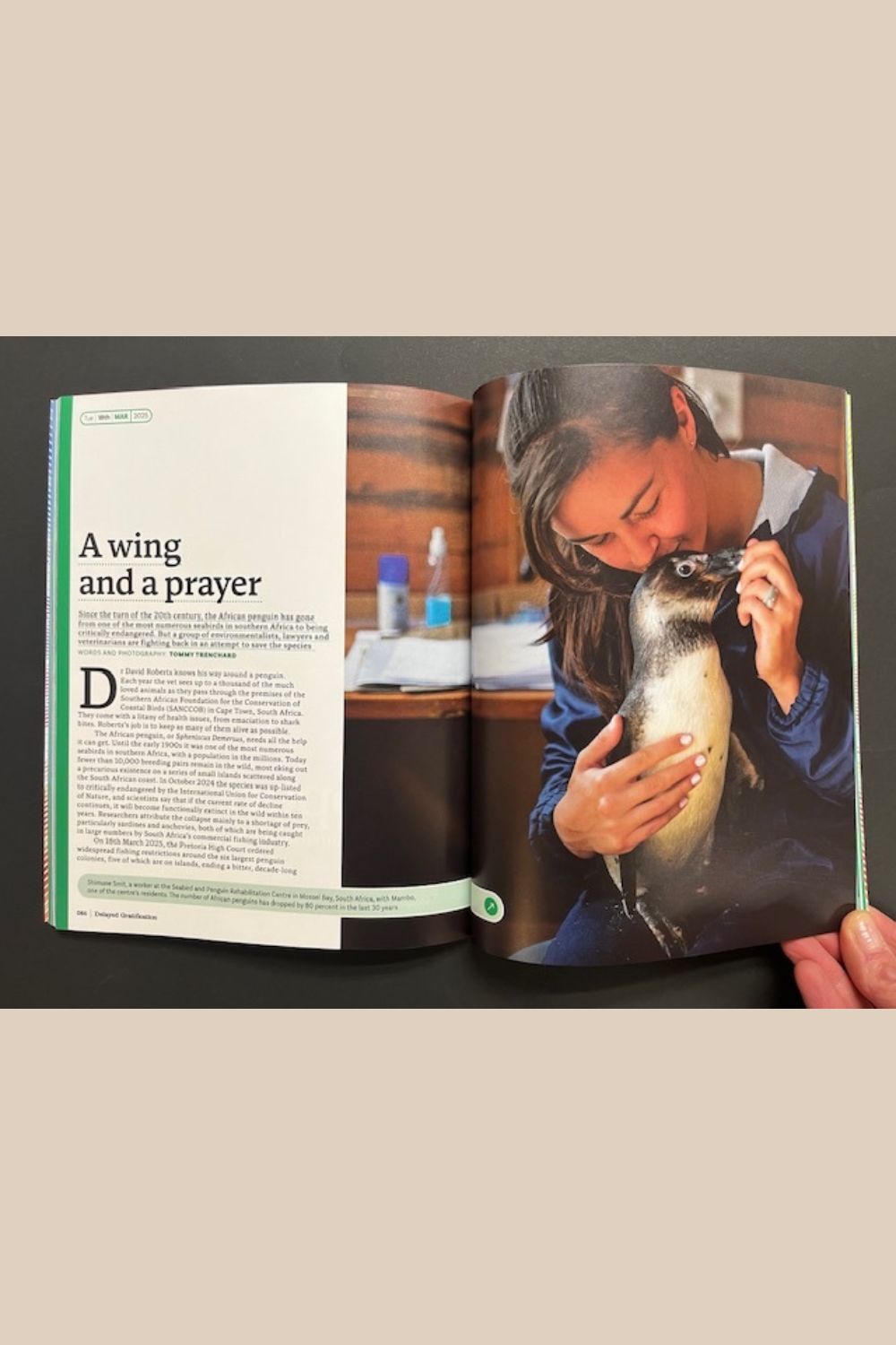 Delayed Gratification Issue 58
