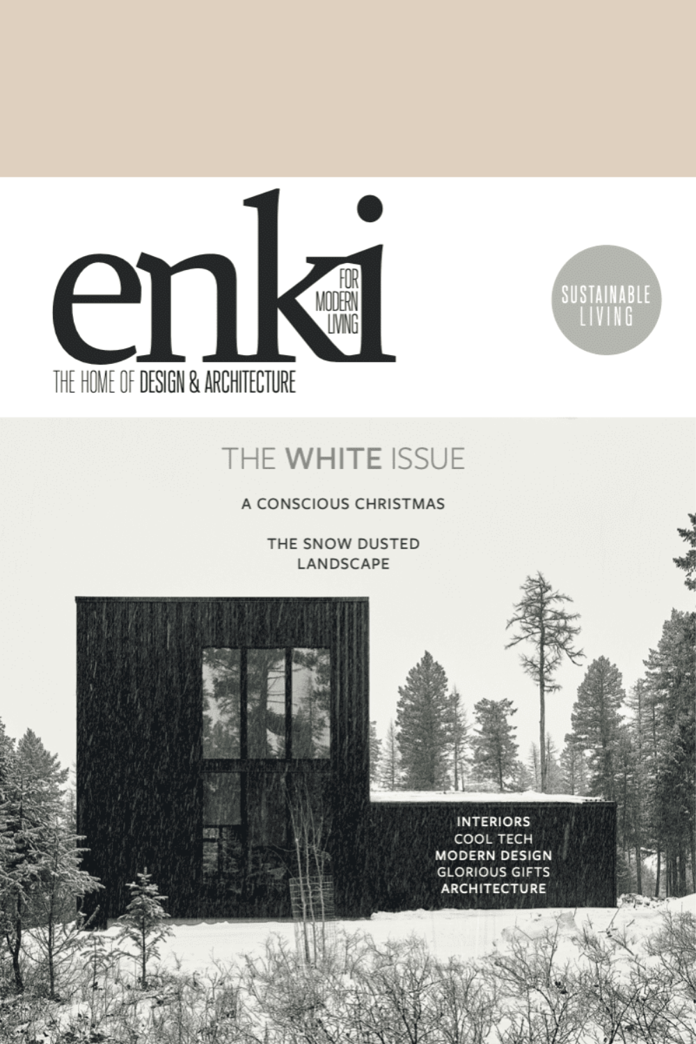 Enki 63 Cover