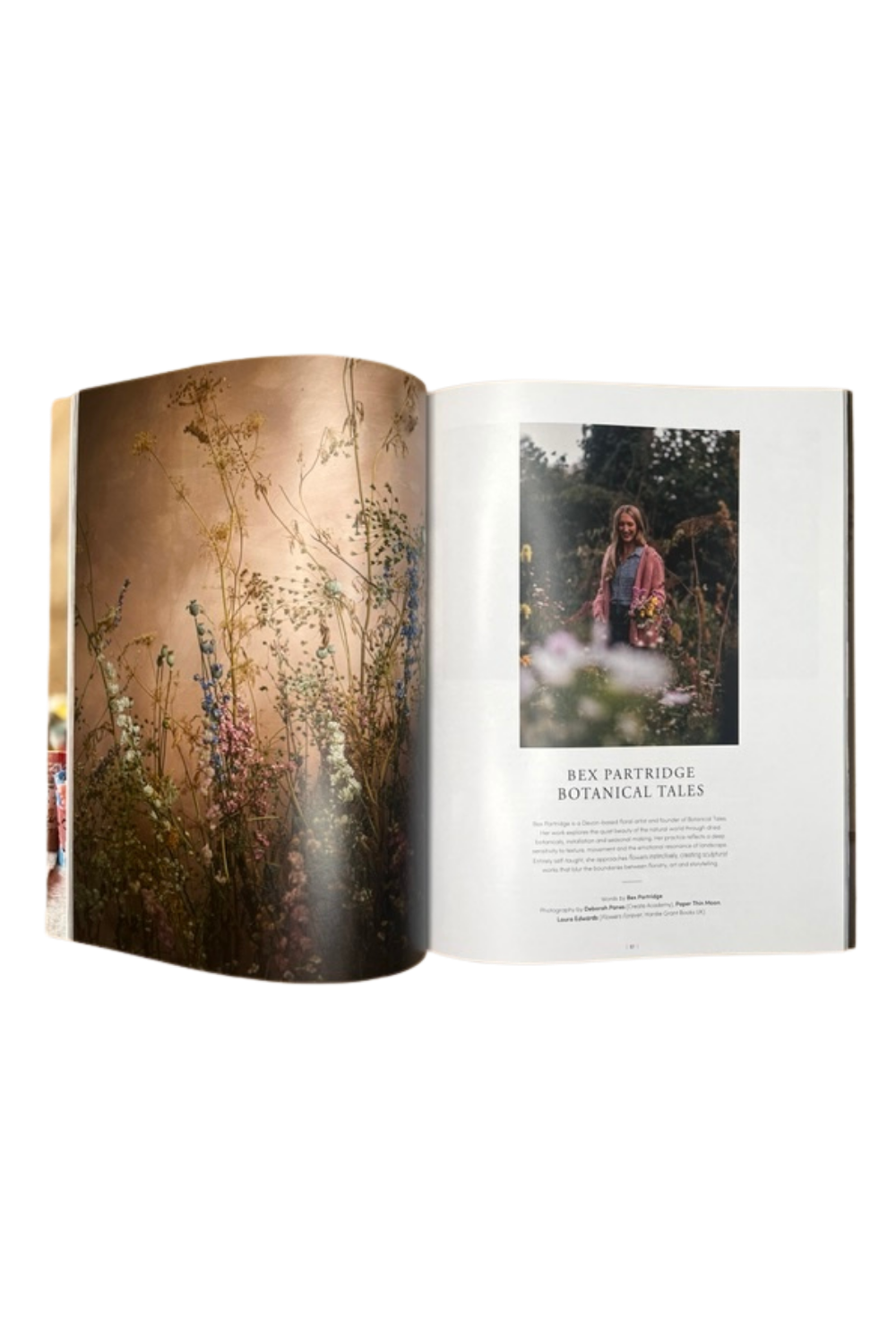 Faire Issue 14