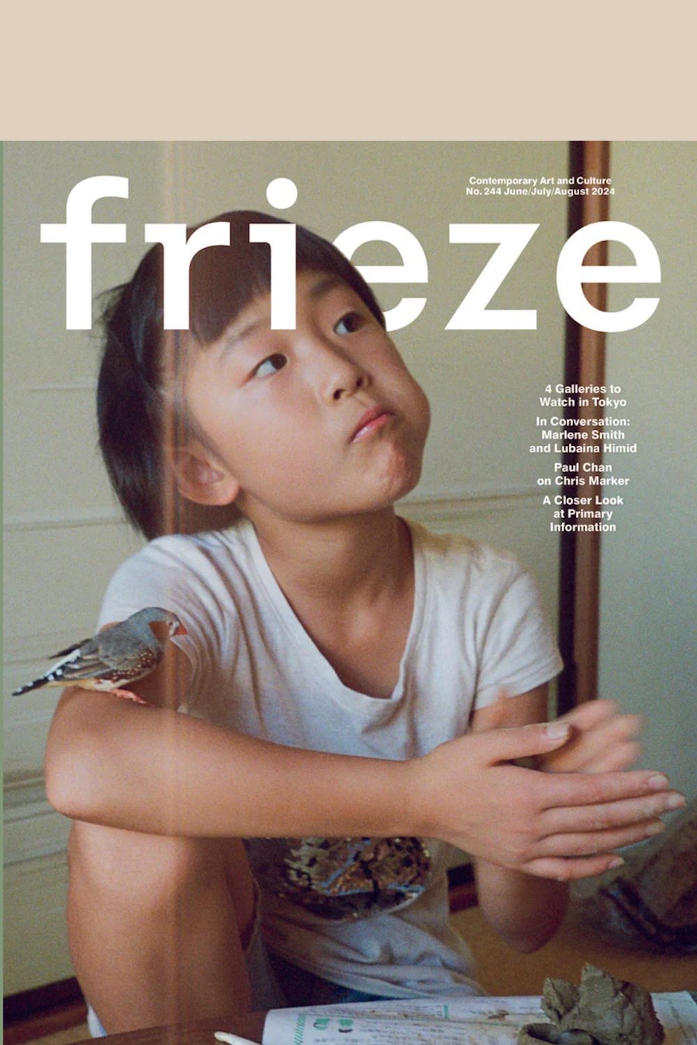 Frieze 244 Cover