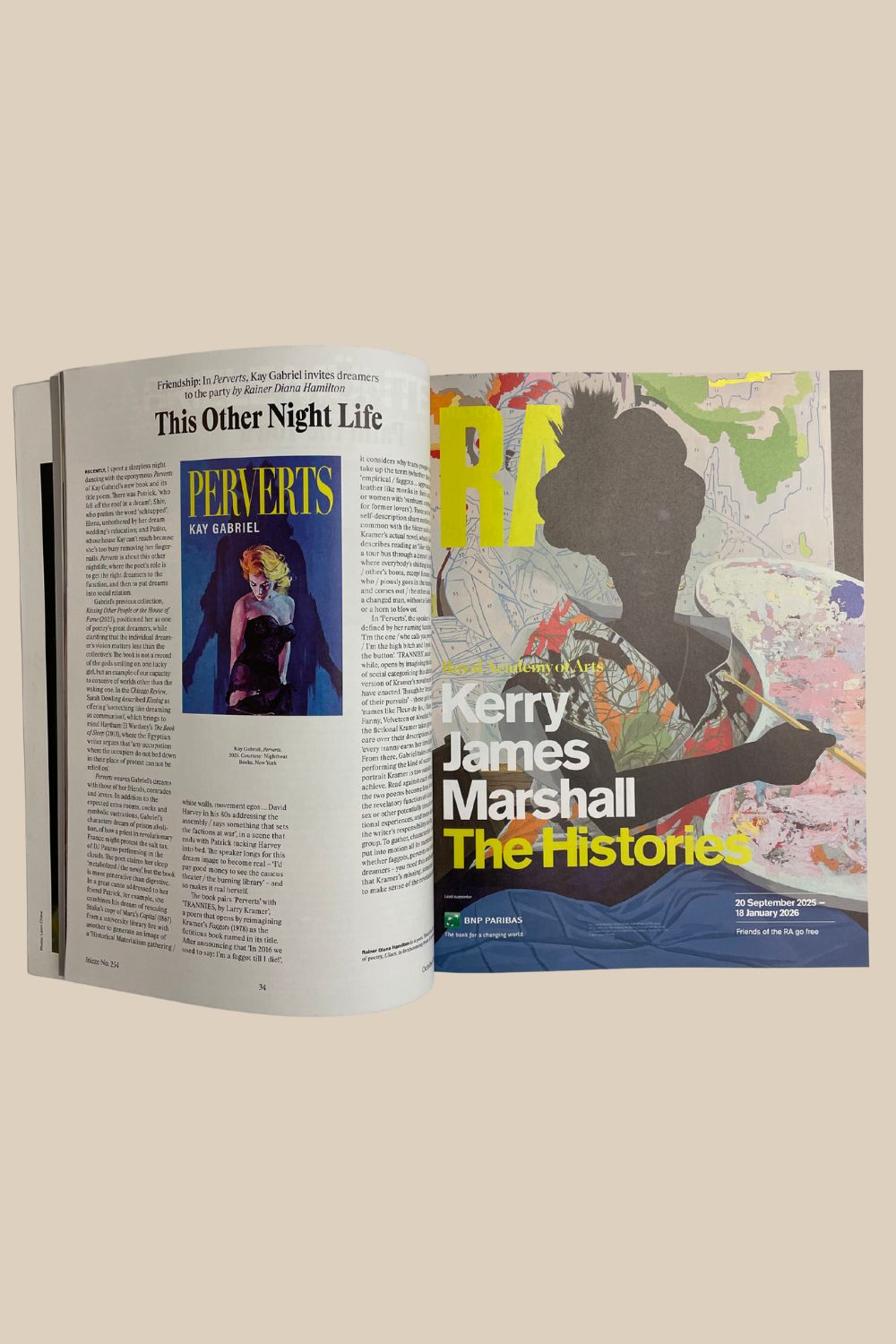 Frieze Issue 254