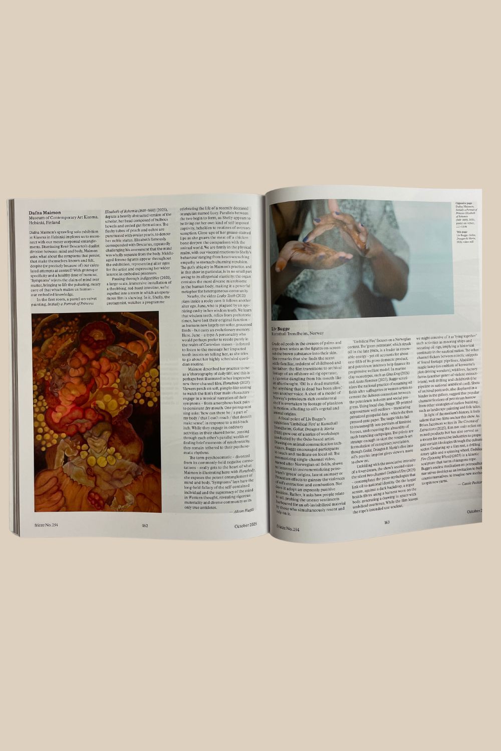 Frieze Issue 254