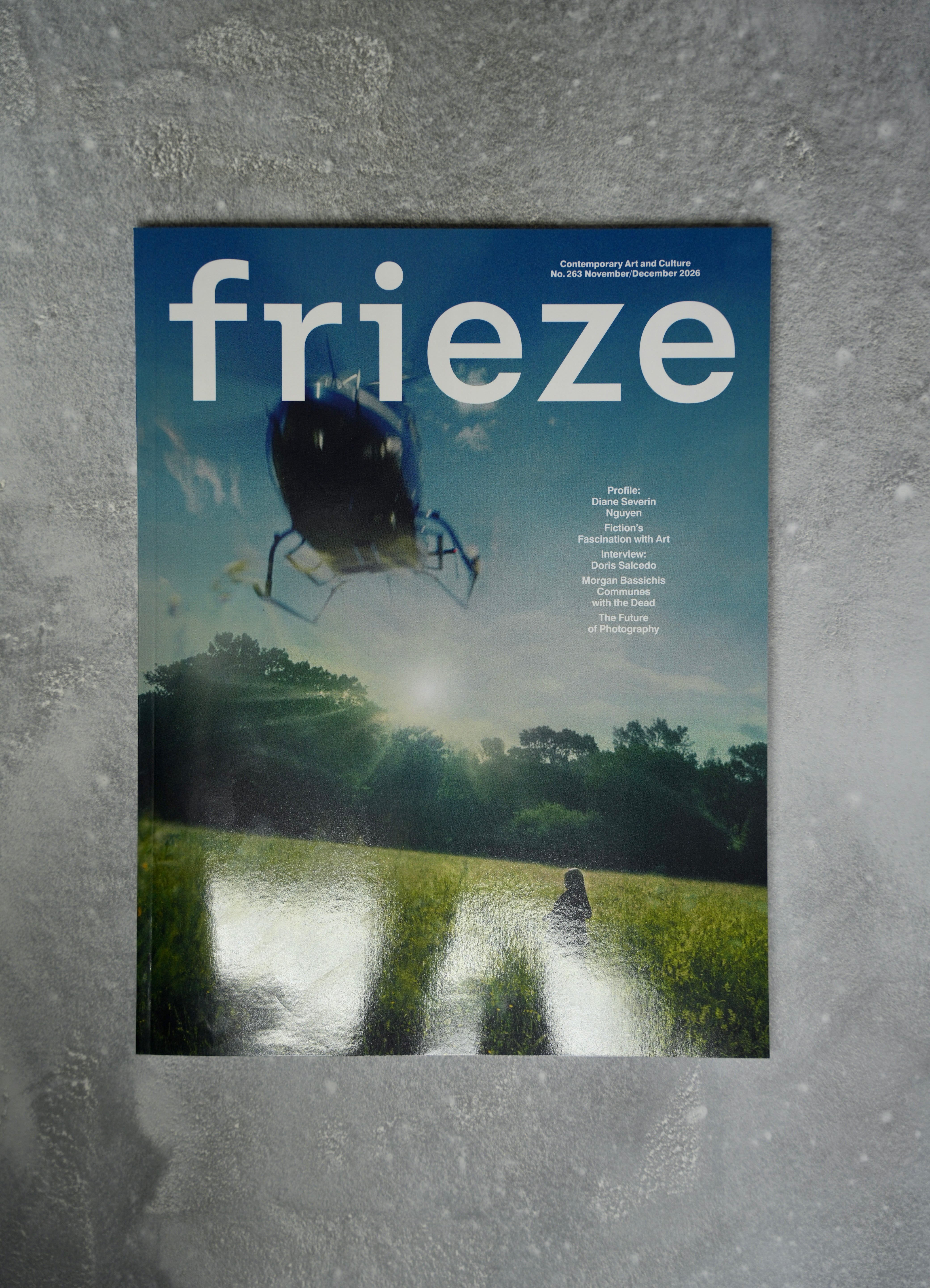 Frieze 263 Cover