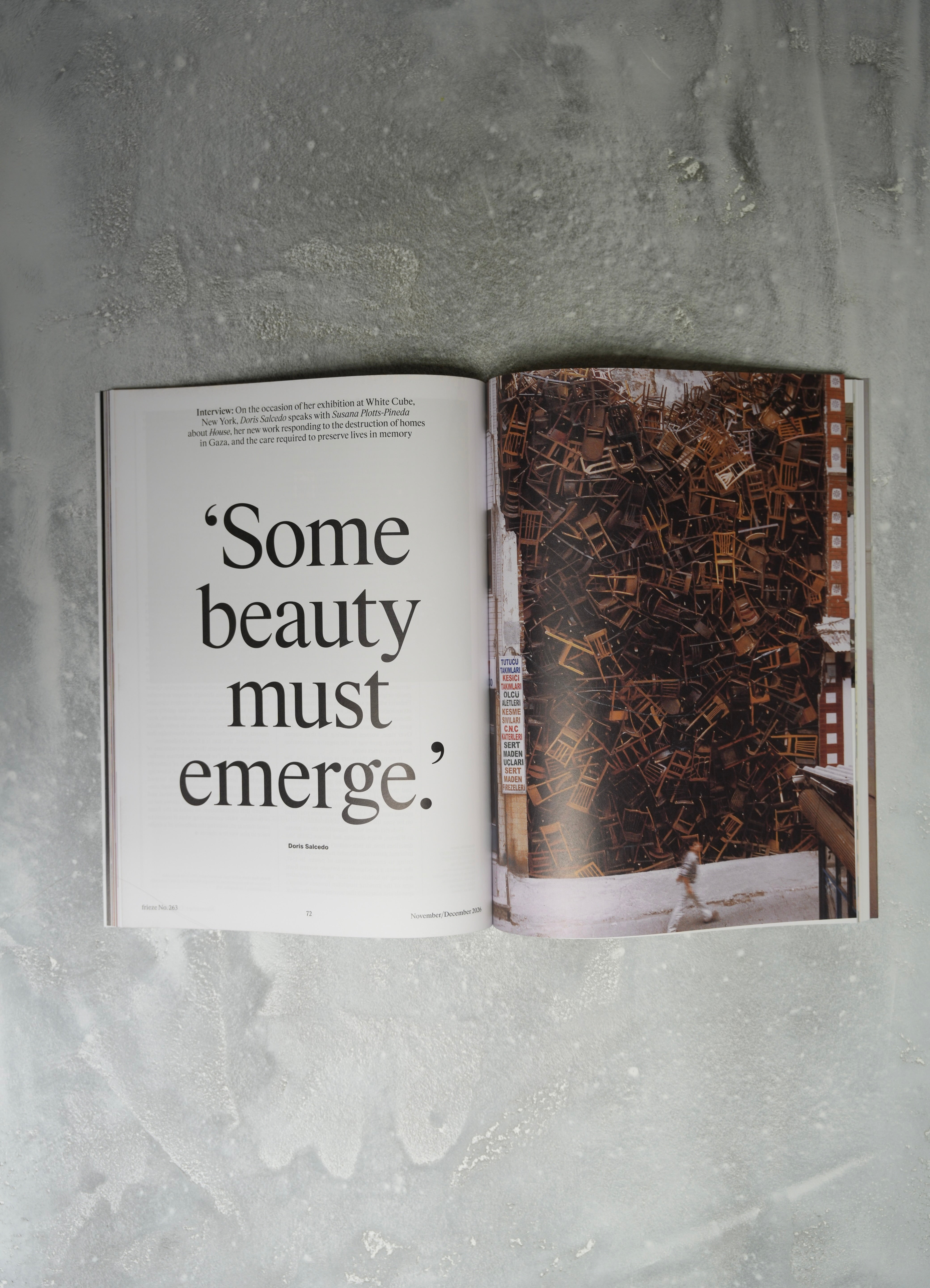 Frieze Issue 263