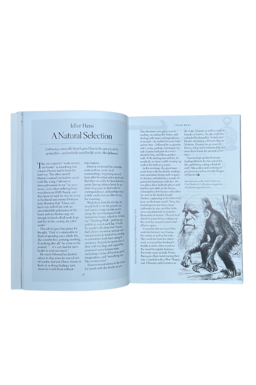 Idler Issue 111