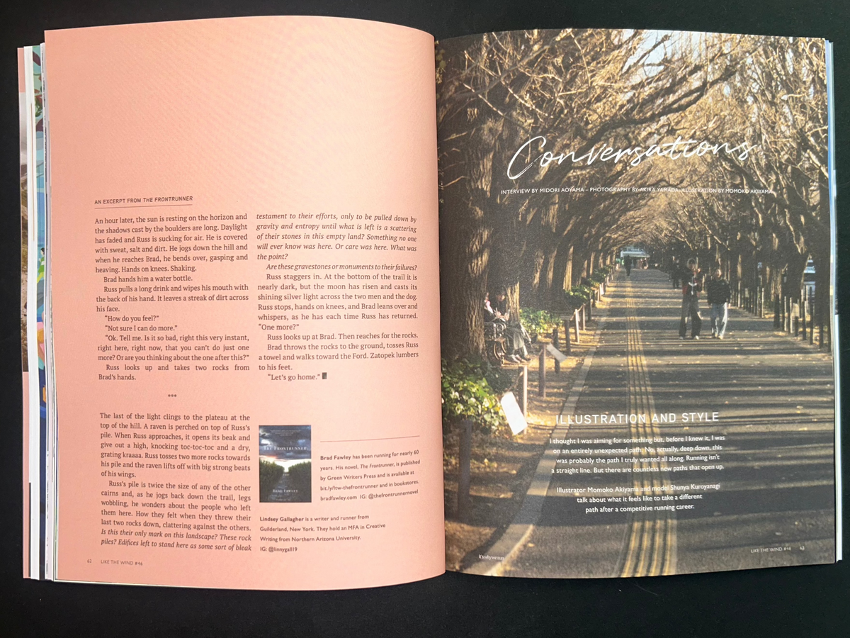 Like The Wind, Issue 46