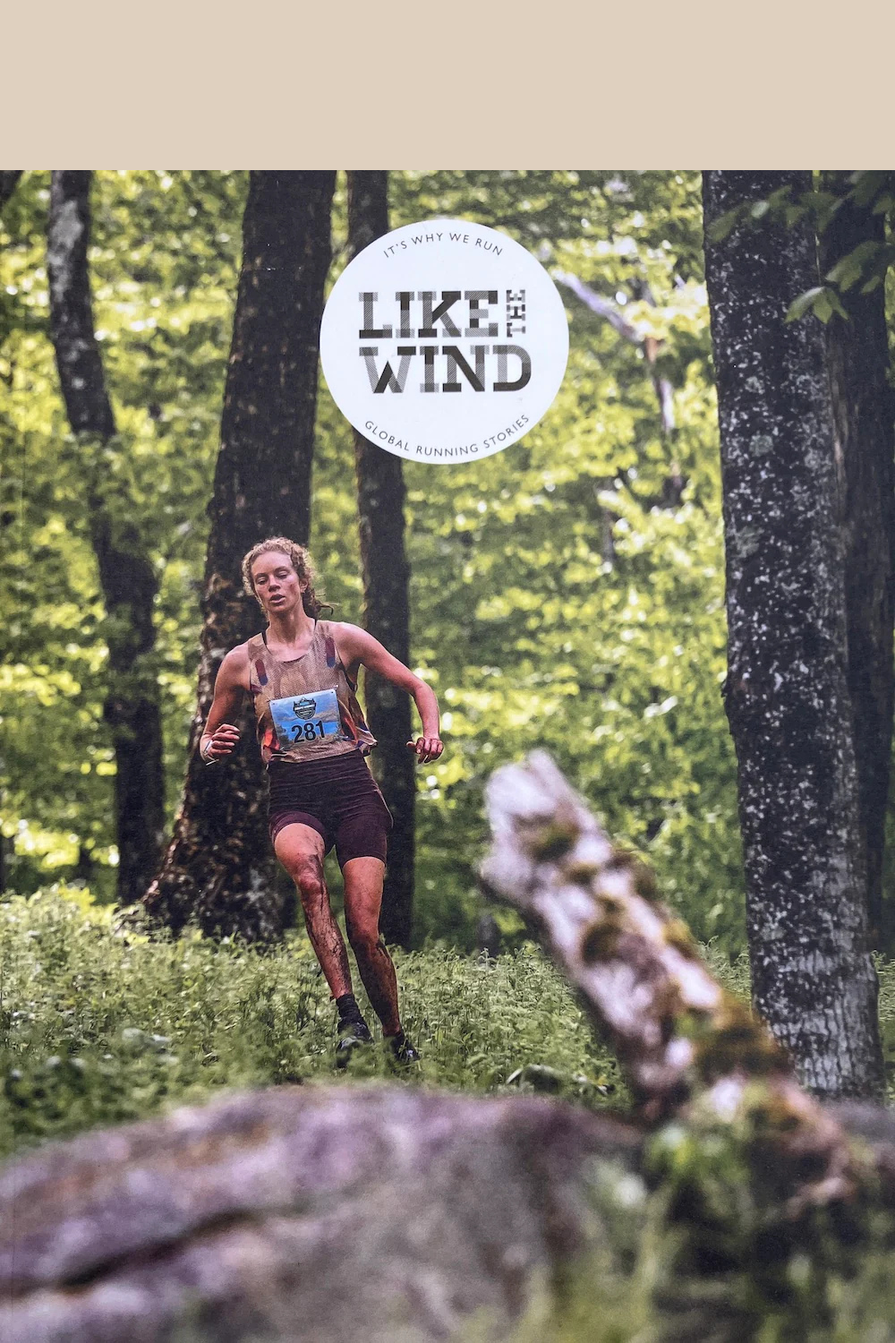 Like The Wind, Issue 46