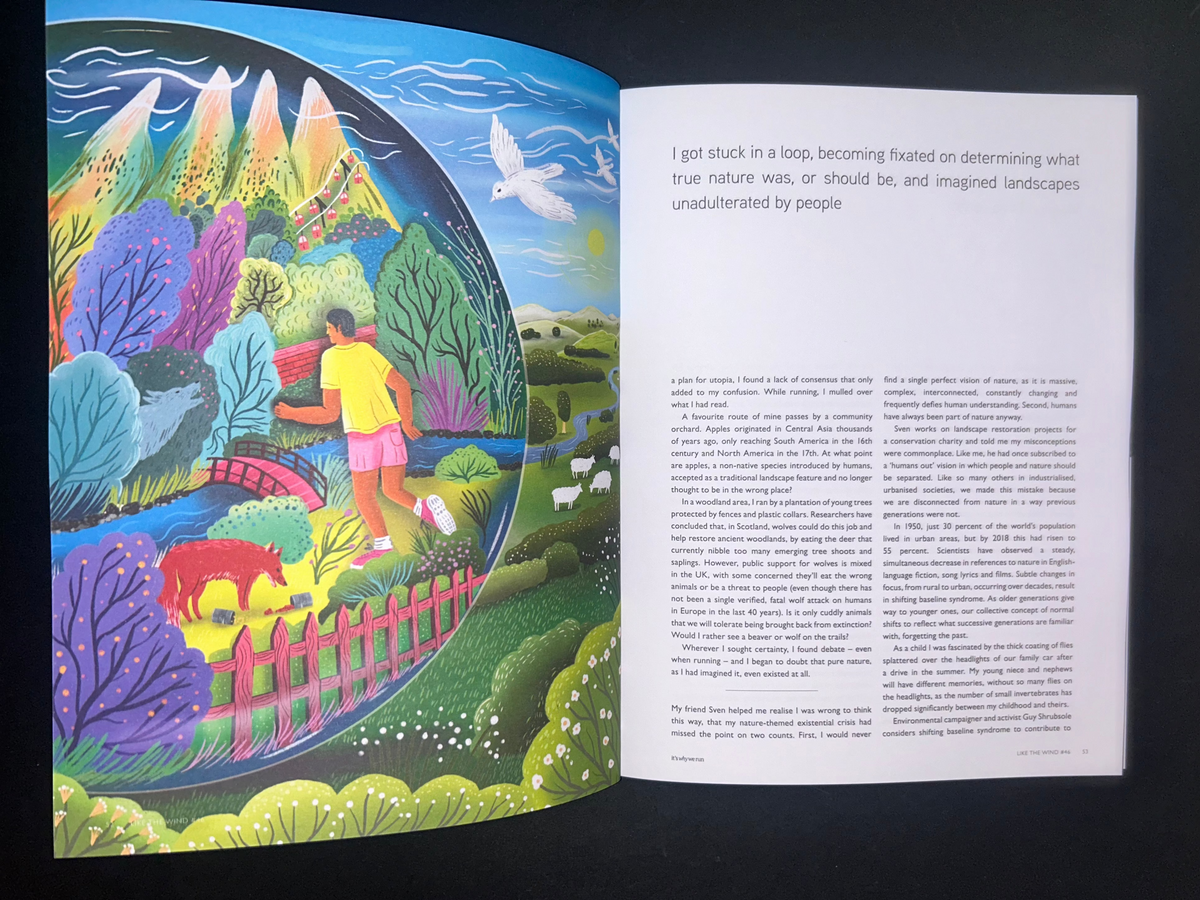 Like The Wind, Issue 46