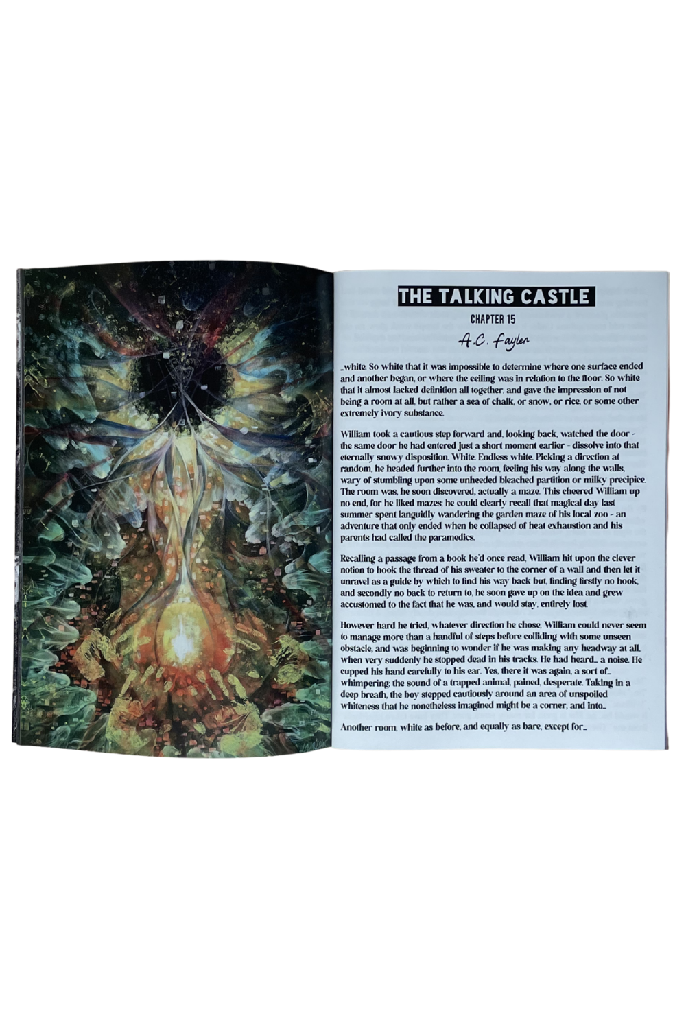 Means Issue 6