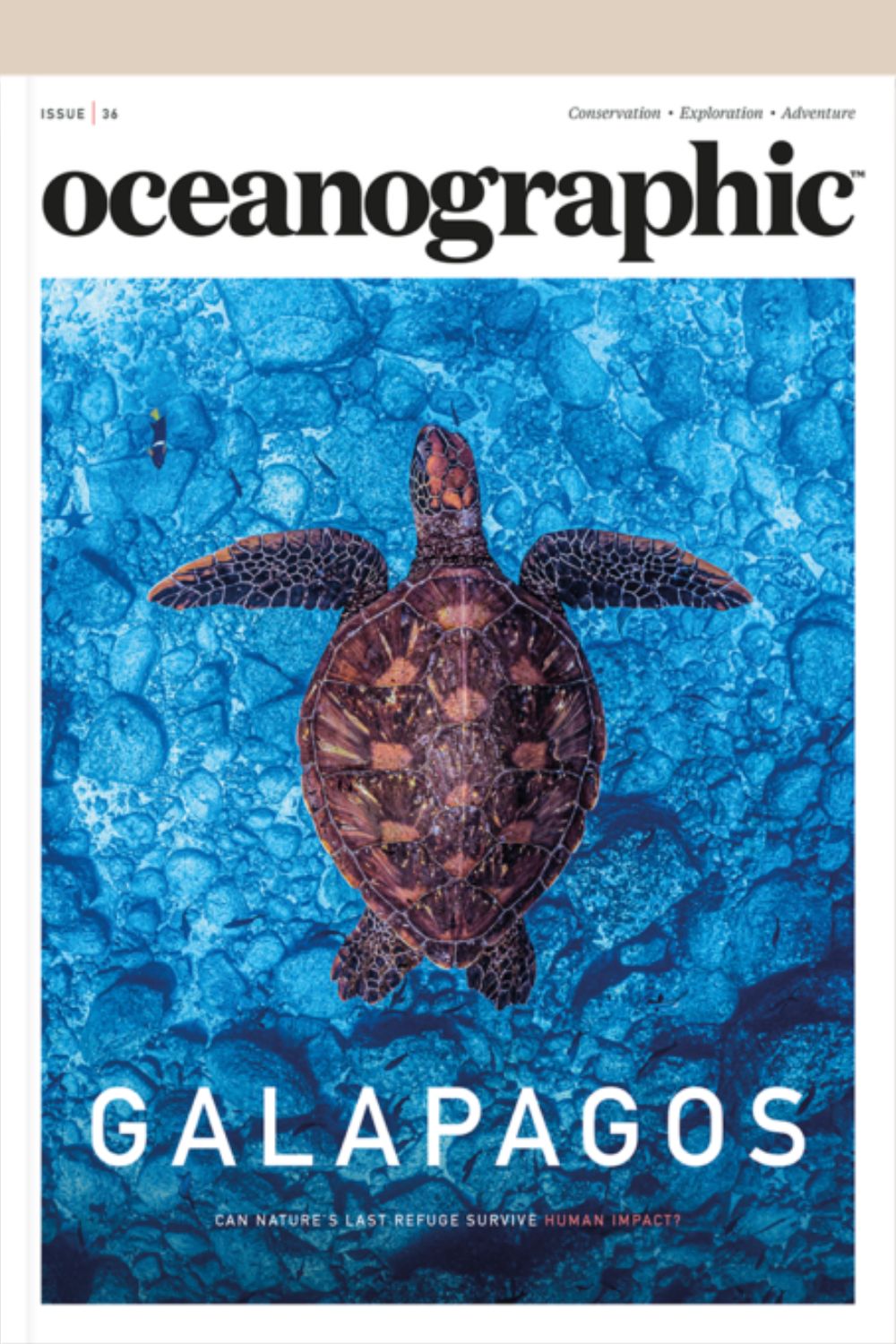 Oceanographic 36 Cover