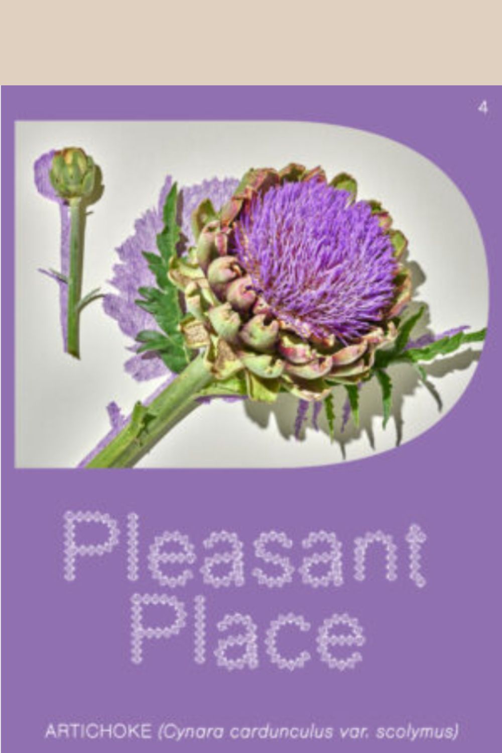Pleasant Place Issue 4 cover (lilac background with close up of artichoke flower.