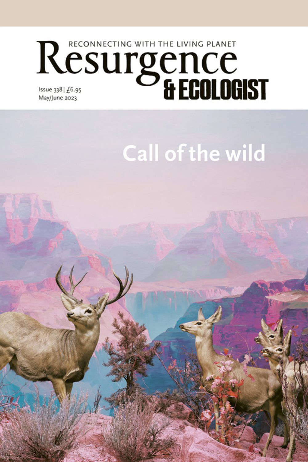 Resurgence & Ecologist Issue 338