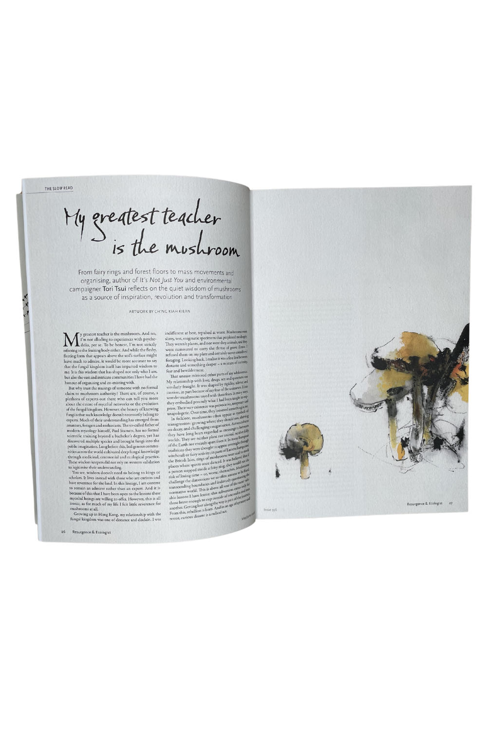 Resurgence & Ecologist Issue 356