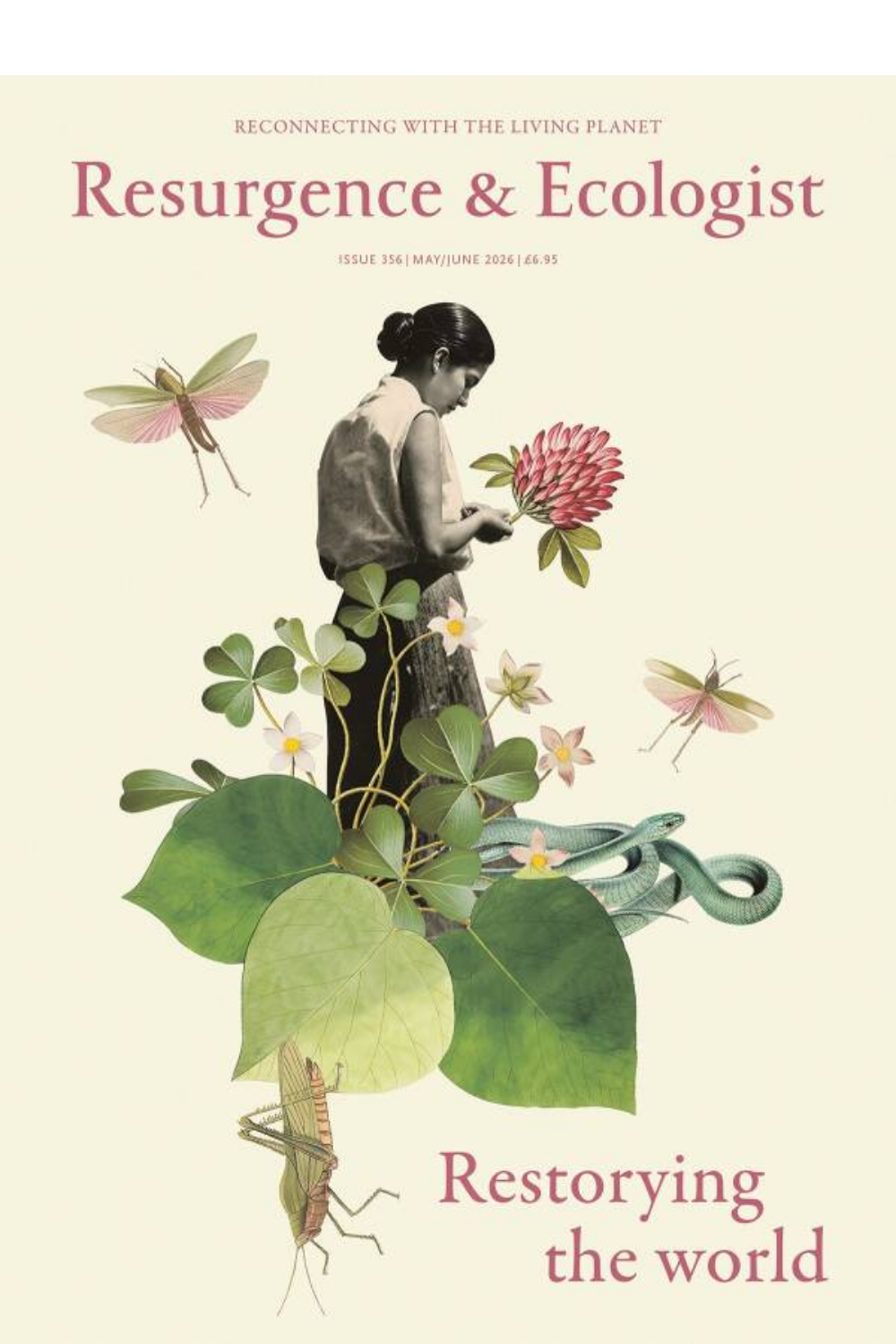 Cover of Resurgence & Ecologist Issue 356