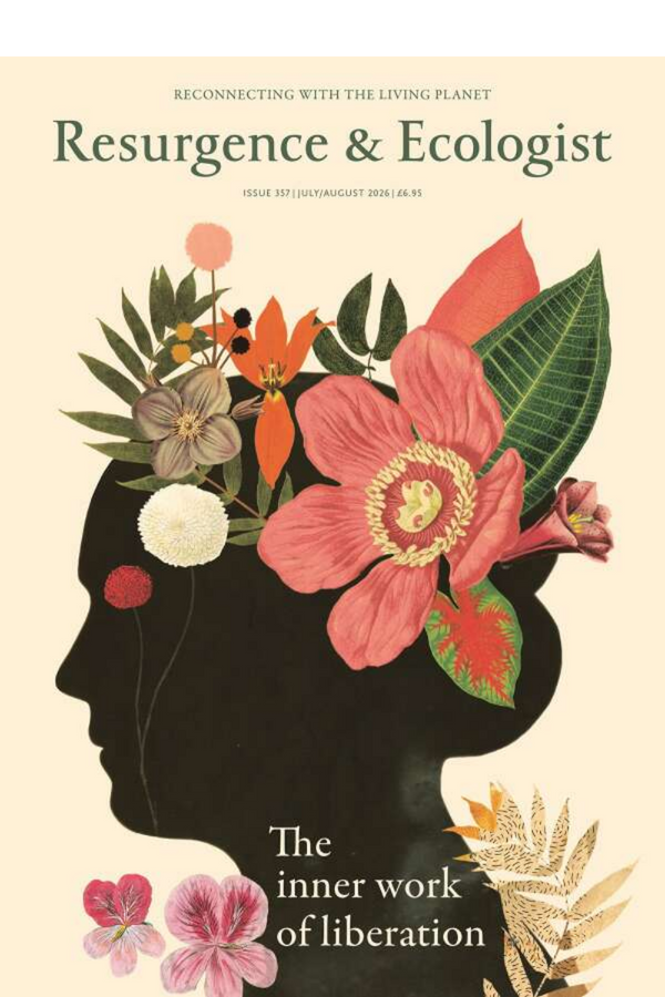 The Ecology of Care (Magazine/Special Issue) view 4