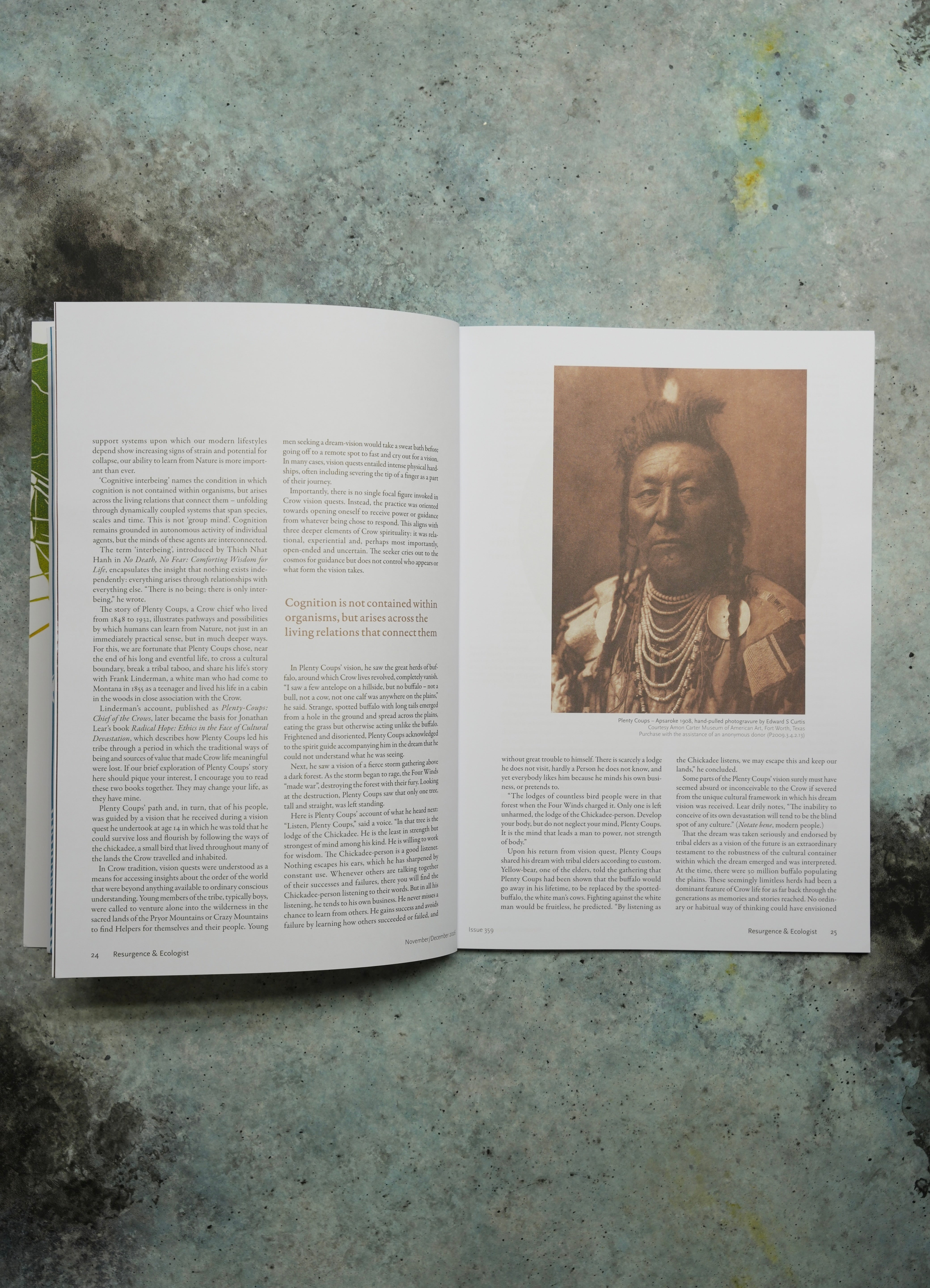 Resurgence & Ecologist Issue 359