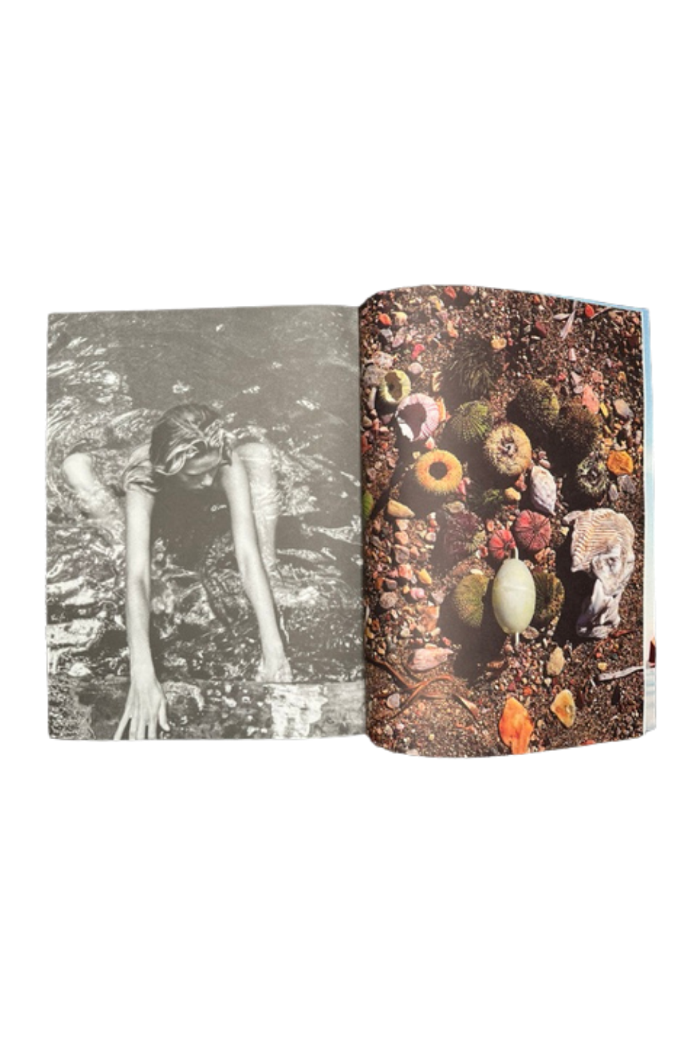 Sirene Issue 23