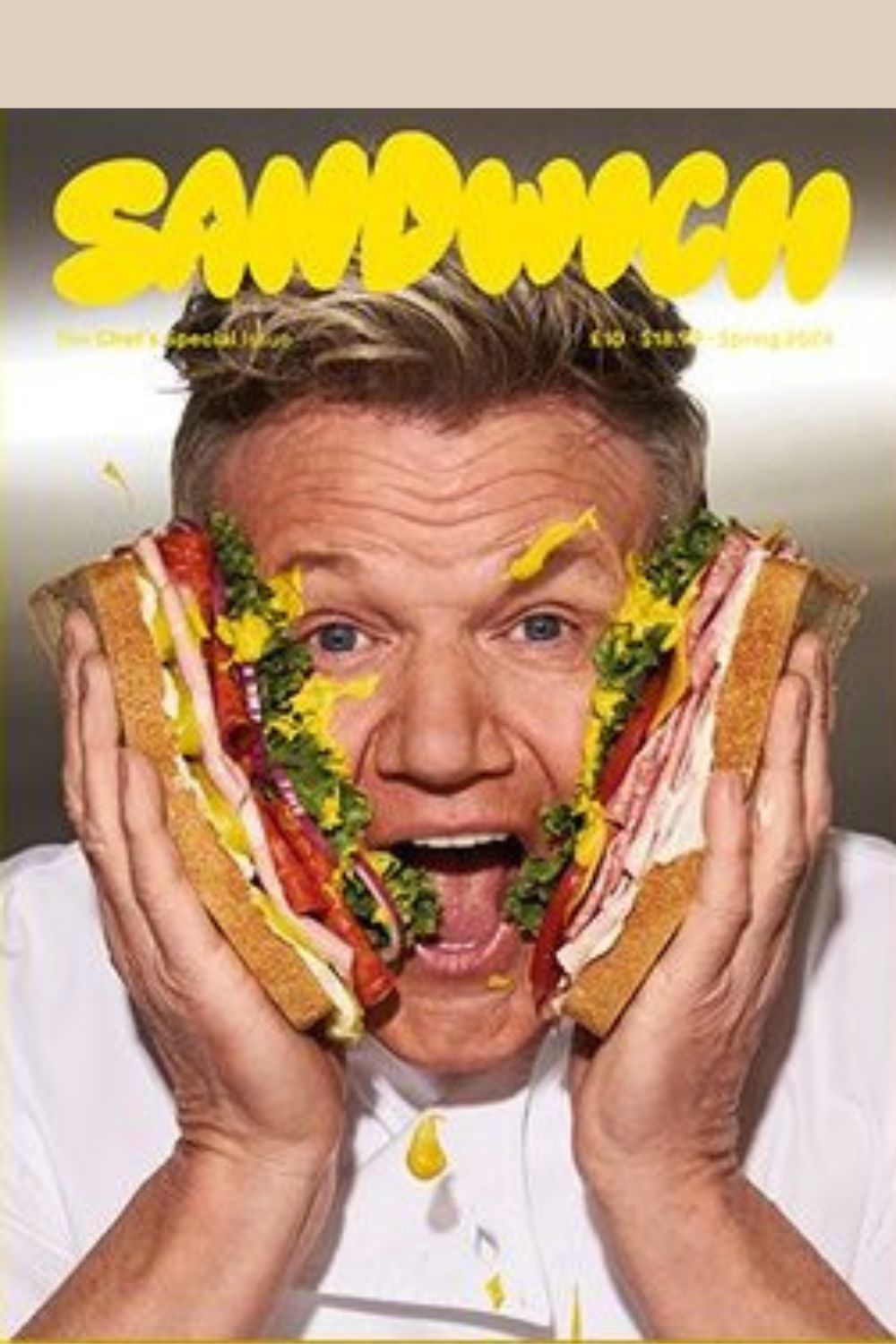 Sandwich magazine Issue 8 cover