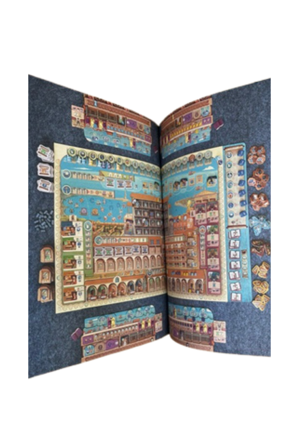 Senet Issue 24