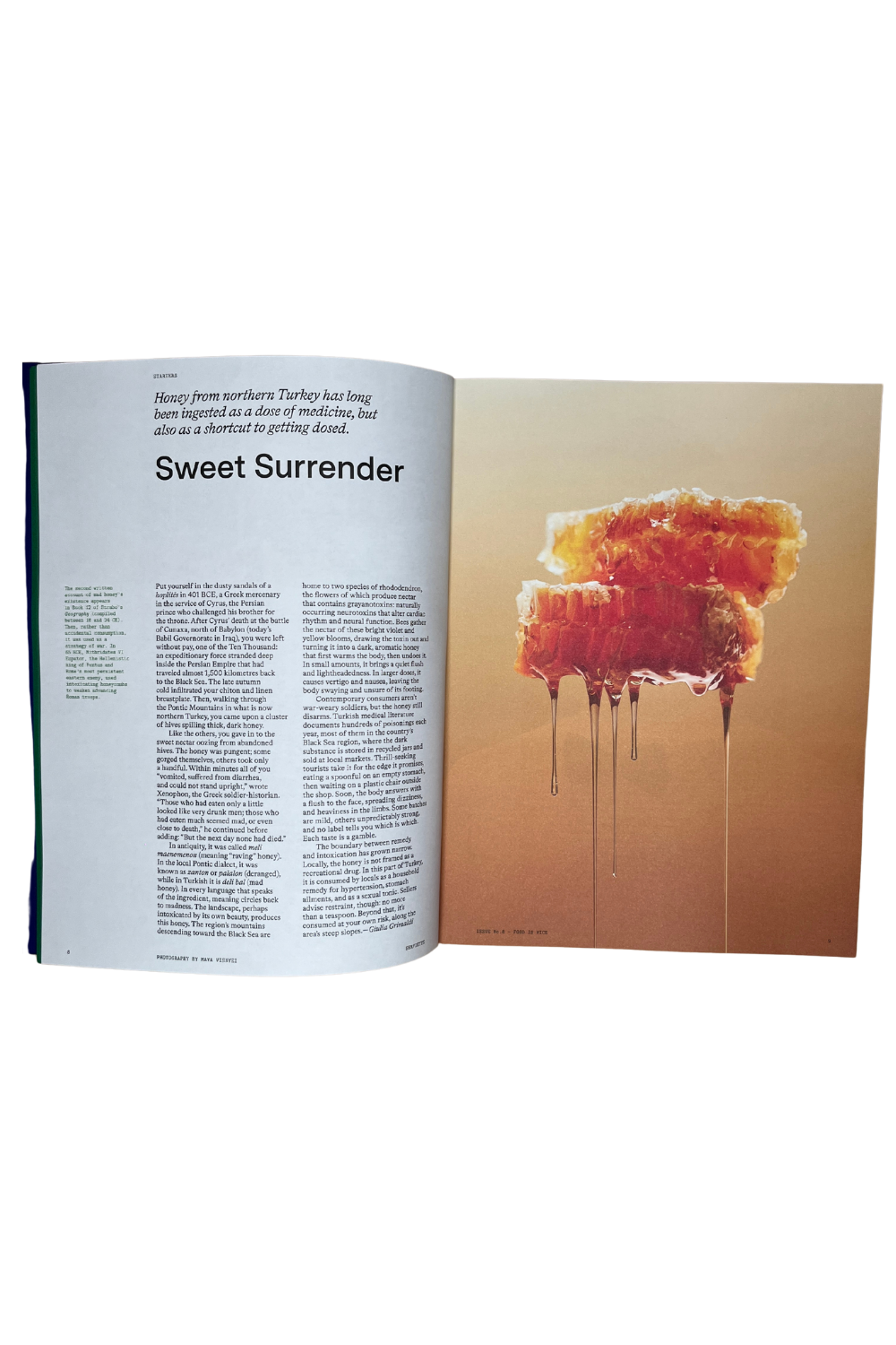 Serviette Issue 8