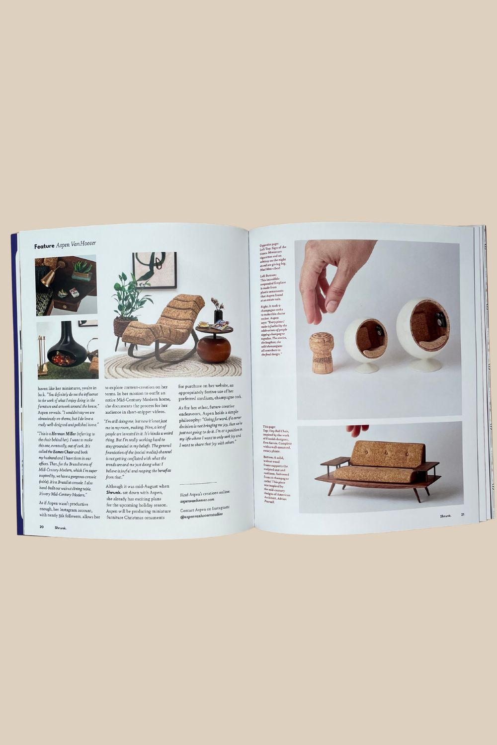 Shrunk Issue 8