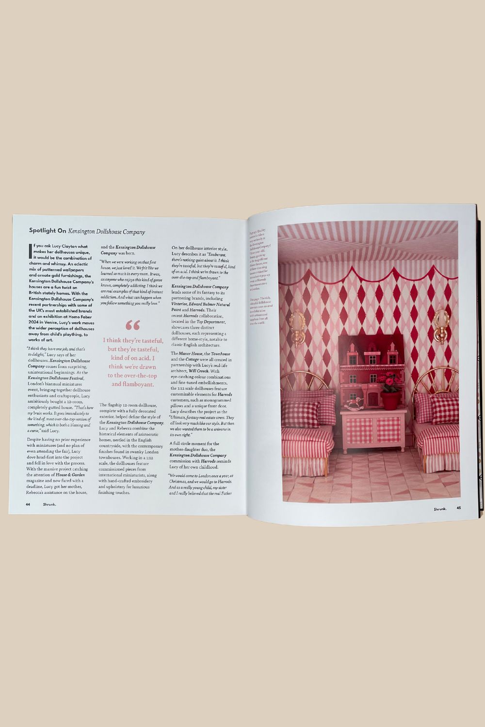 Shrunk Issue 8