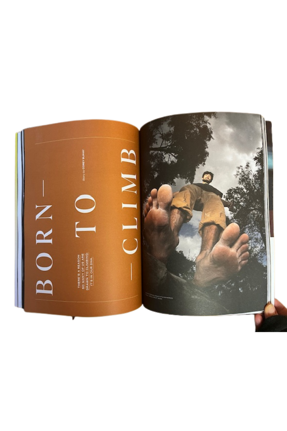 Summit Journal Issue 324