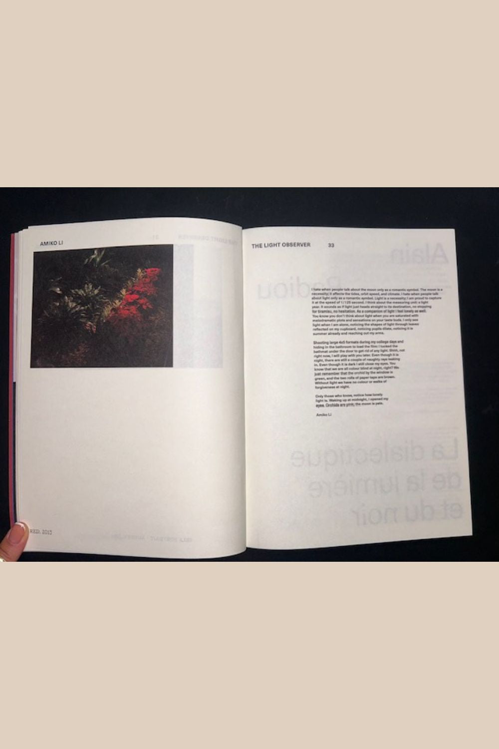 The Light Observer Issue 2