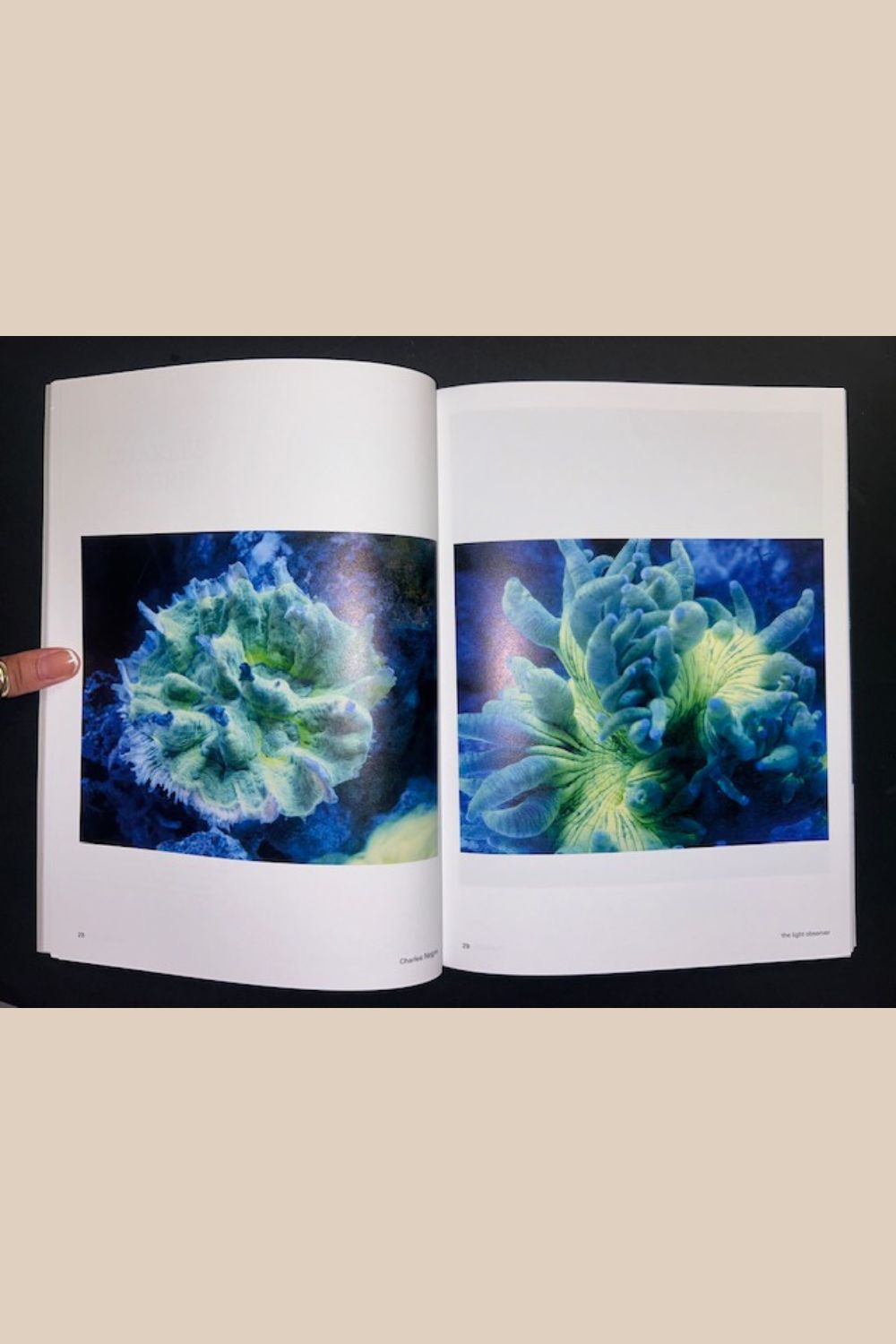 The Light Observer Issue 3