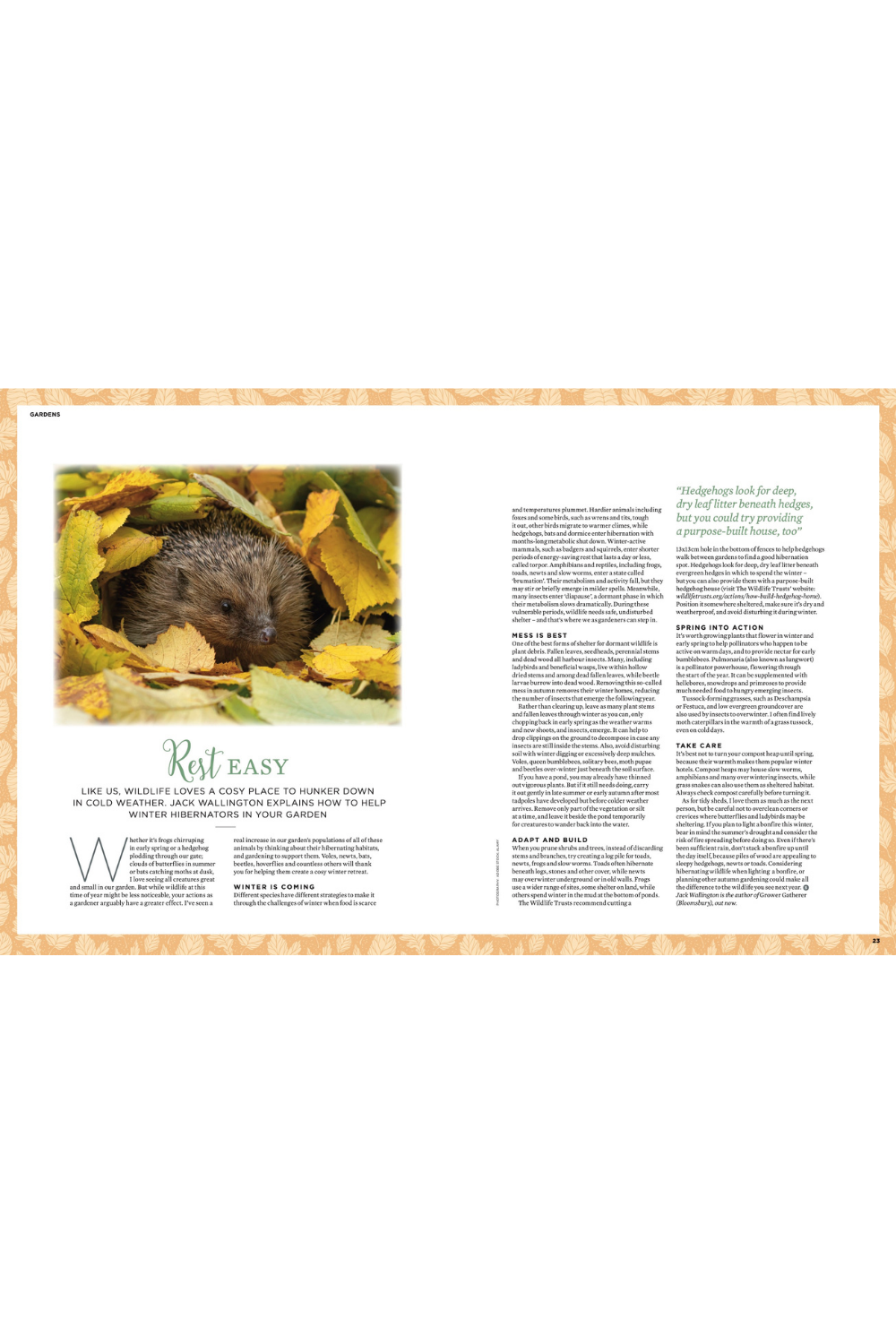 PRE SALE The Simple Things Issue 172 October