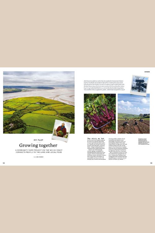 PRE SALE The Simple Things Issue 164 February