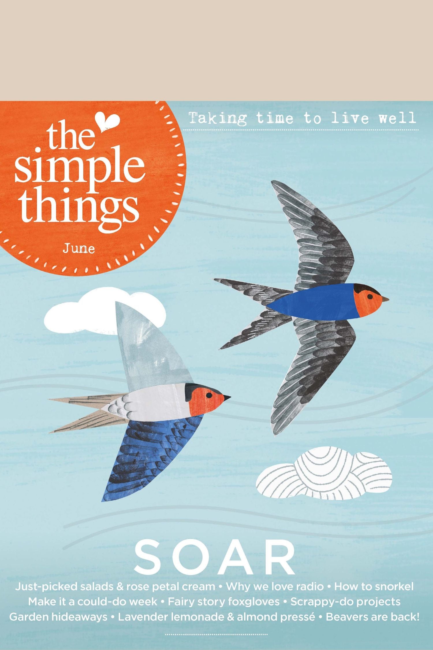 The Simple Things June 156 Cover