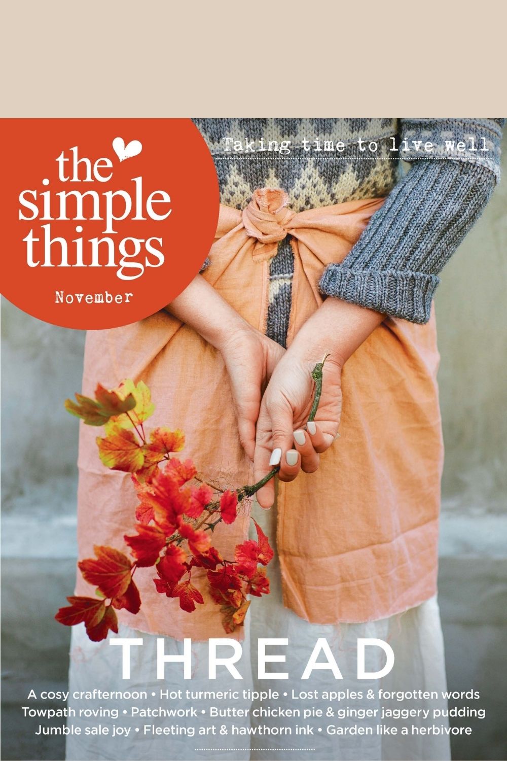 TST November 137 Cover