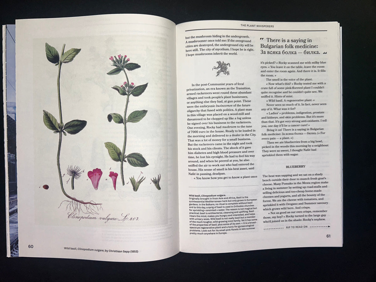 The European Review of Books, issue 9