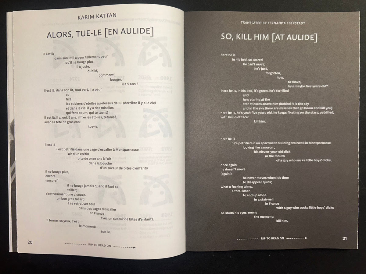 The European Review of Books, issue 9