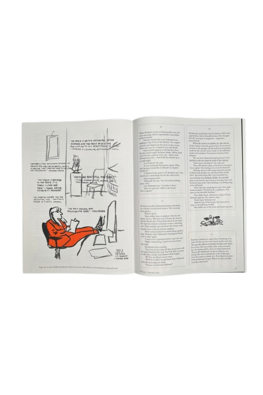 The Fence Issue 29