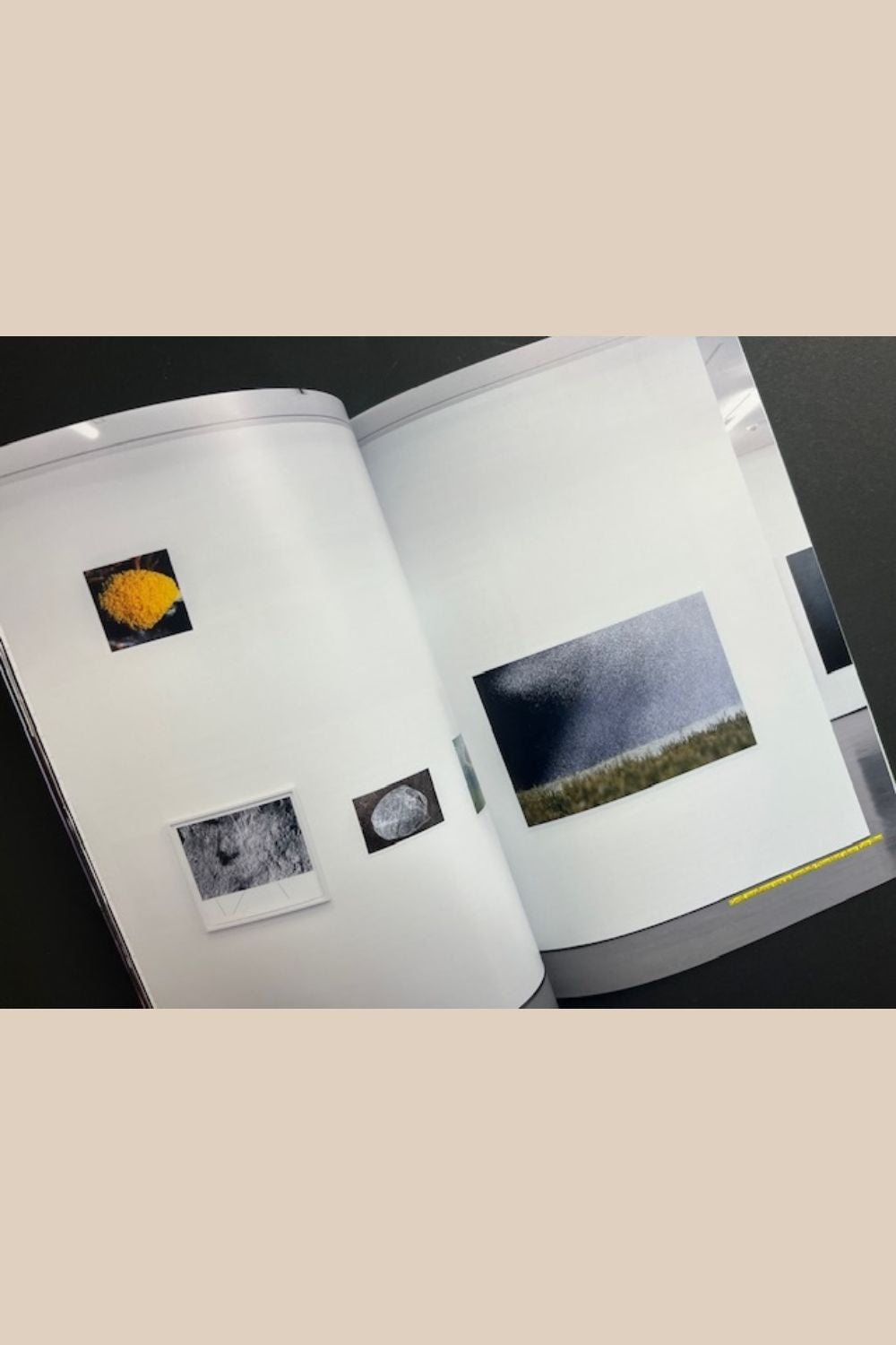 The Light Observer Issue 8